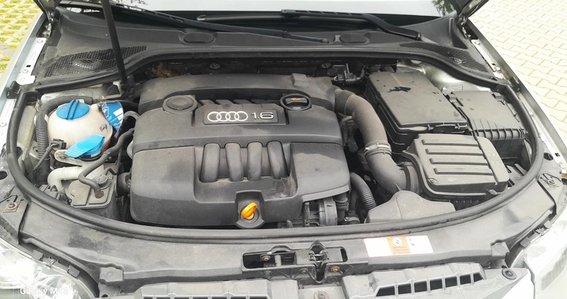 Audi A3 cena 16500 przebieg: 227000, rok produkcji 2005 z Żary małe 172